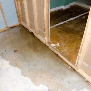 Tackling Wet Basements: Your Guide to a Dry, Healthy Home