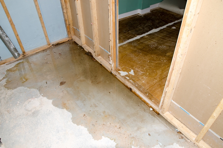 Tackling Wet Basements: Your Guide to a Dry, Healthy Home