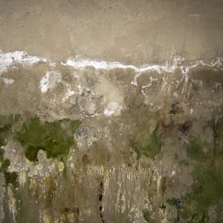 Leaky basement mississauga