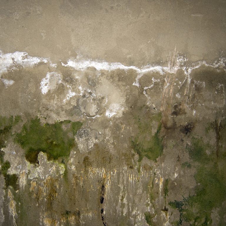 Leaky Basement Mississauga
