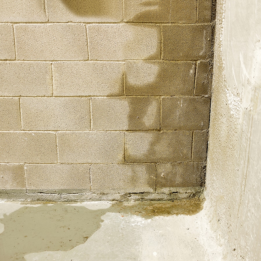 Basement Waterproofing