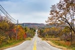 Undulating road in fall