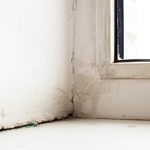 Wall shrinkage 