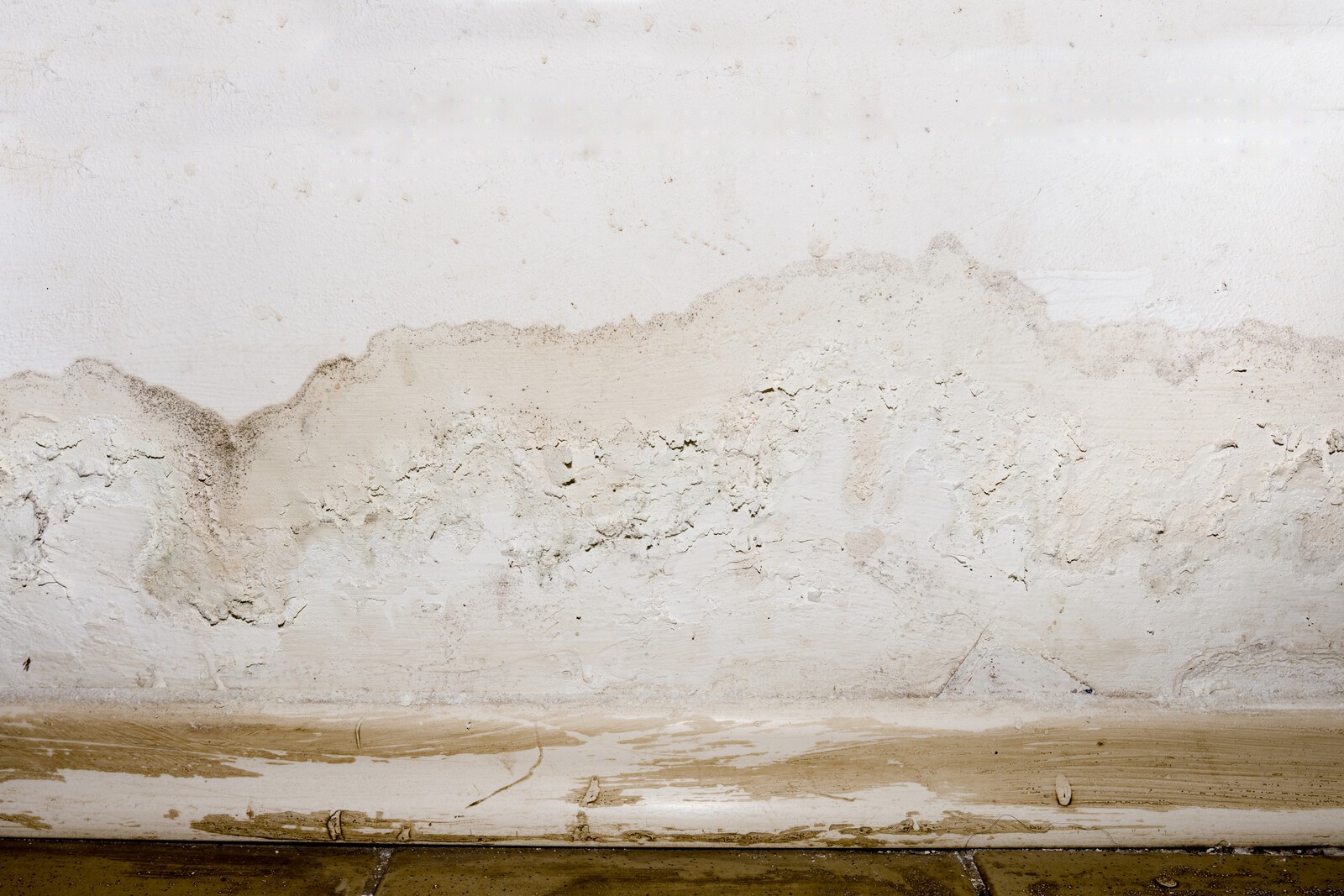 How to Keep Your Basement Waterproof