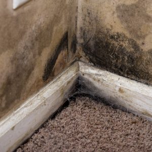 Causes for Wet Basement Problems