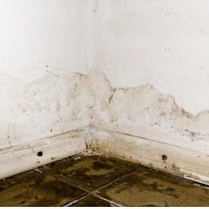 basement leaks resulting from cove joint seepage