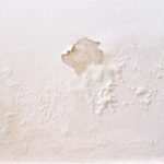 Peeling Paint and Wallpaper Woes