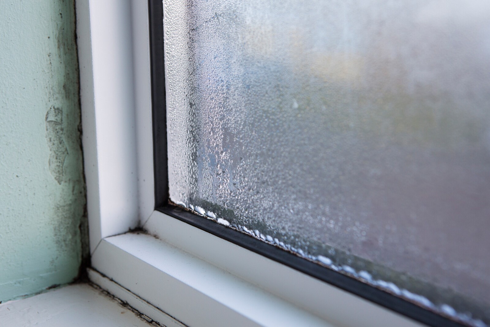 What You Should Know Before Basement Leak Repair