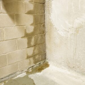 Understanding Basement Wall Leaks