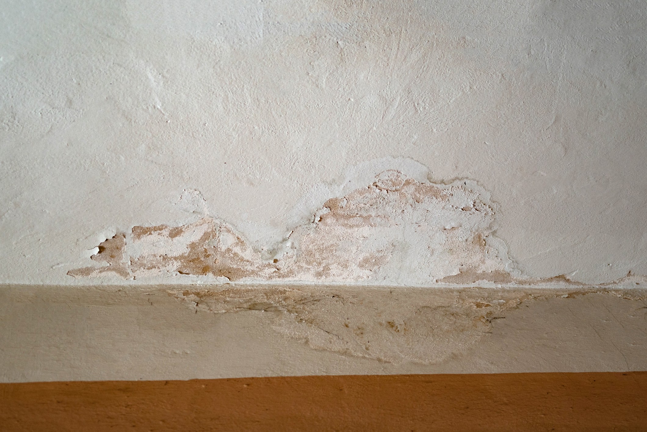 Common Signs of a leak in the Basement