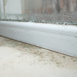 Managing Basement Condensation