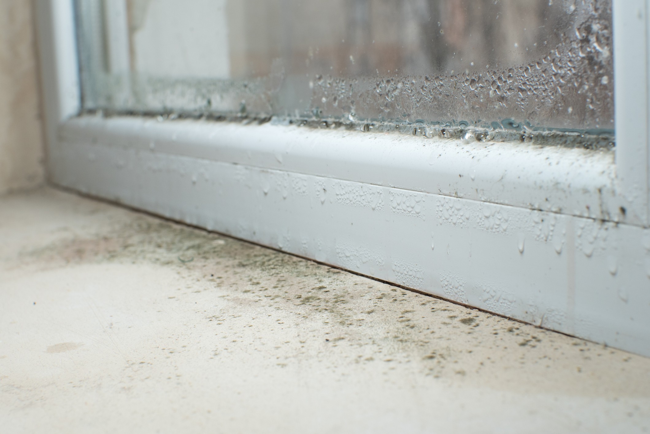 Managing Basement Condensation