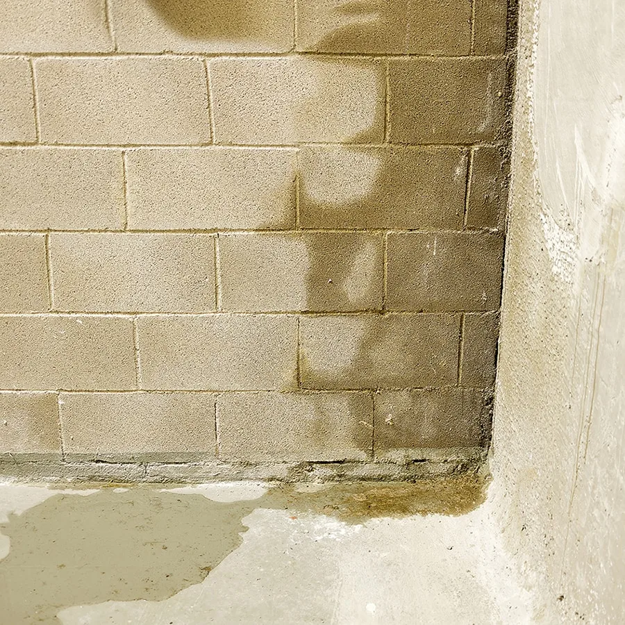 Wet basement foundation Basement Waterproofing