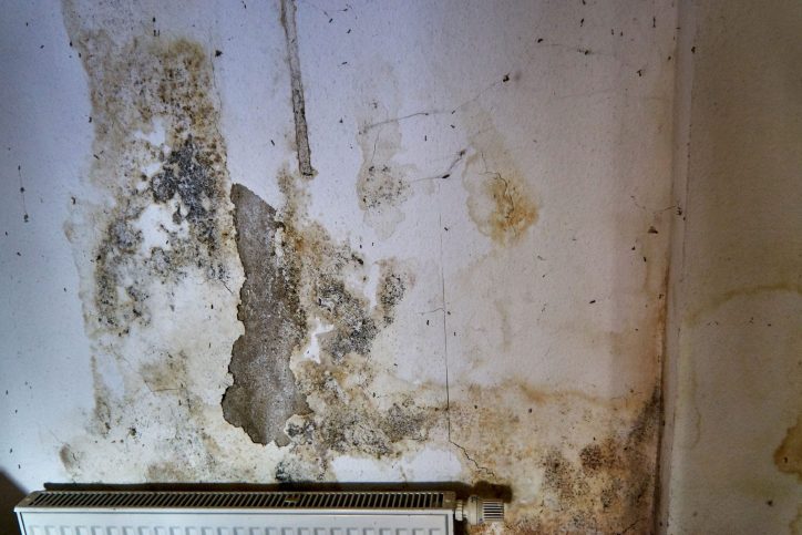 Mold-on-the-wall-over-a-radiator Mold on the wall over a radiator